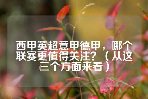 许利民指导 许利民指导